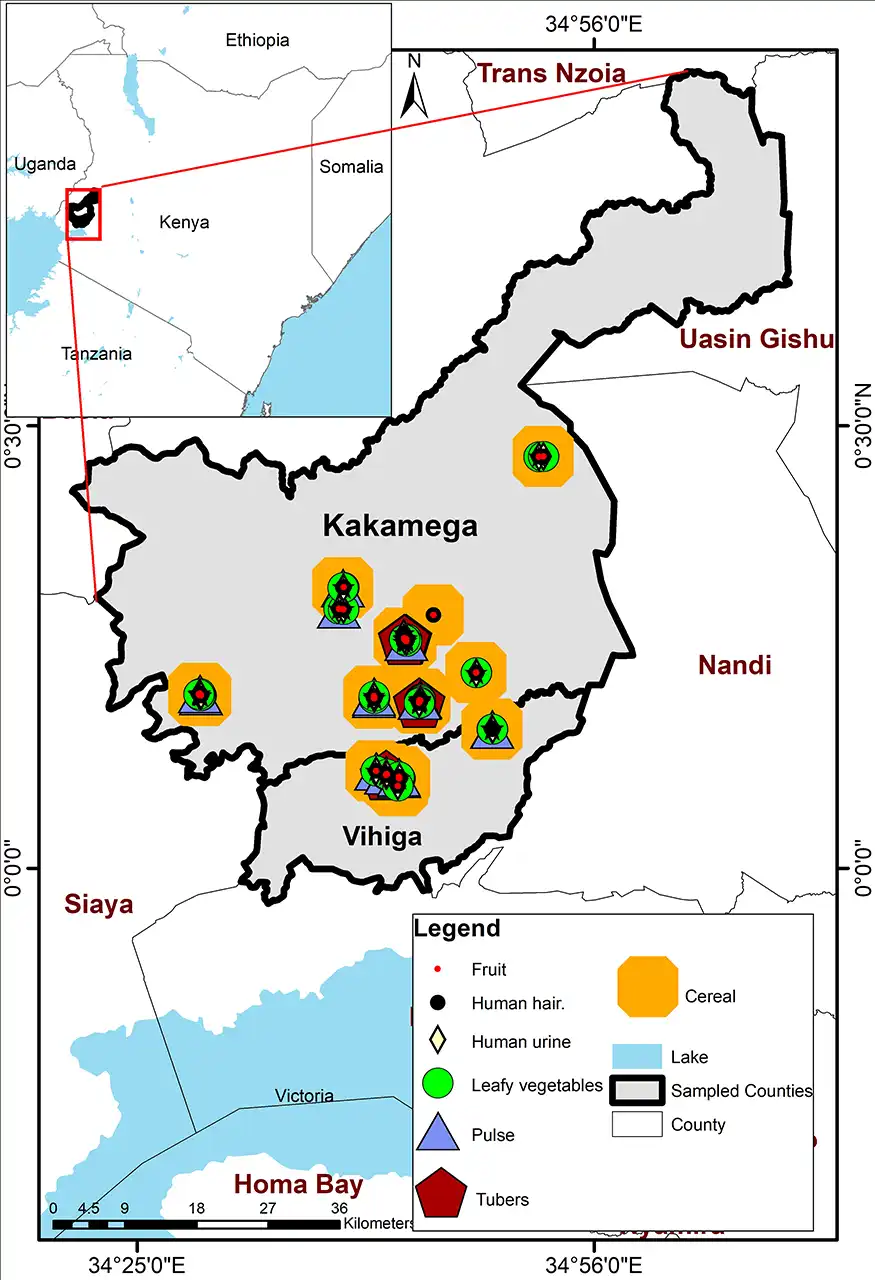 Geological map of Kenya highlighting the Migori greenstone belt, Kakamega, and Turkana regions as primary gold-producing areas.
